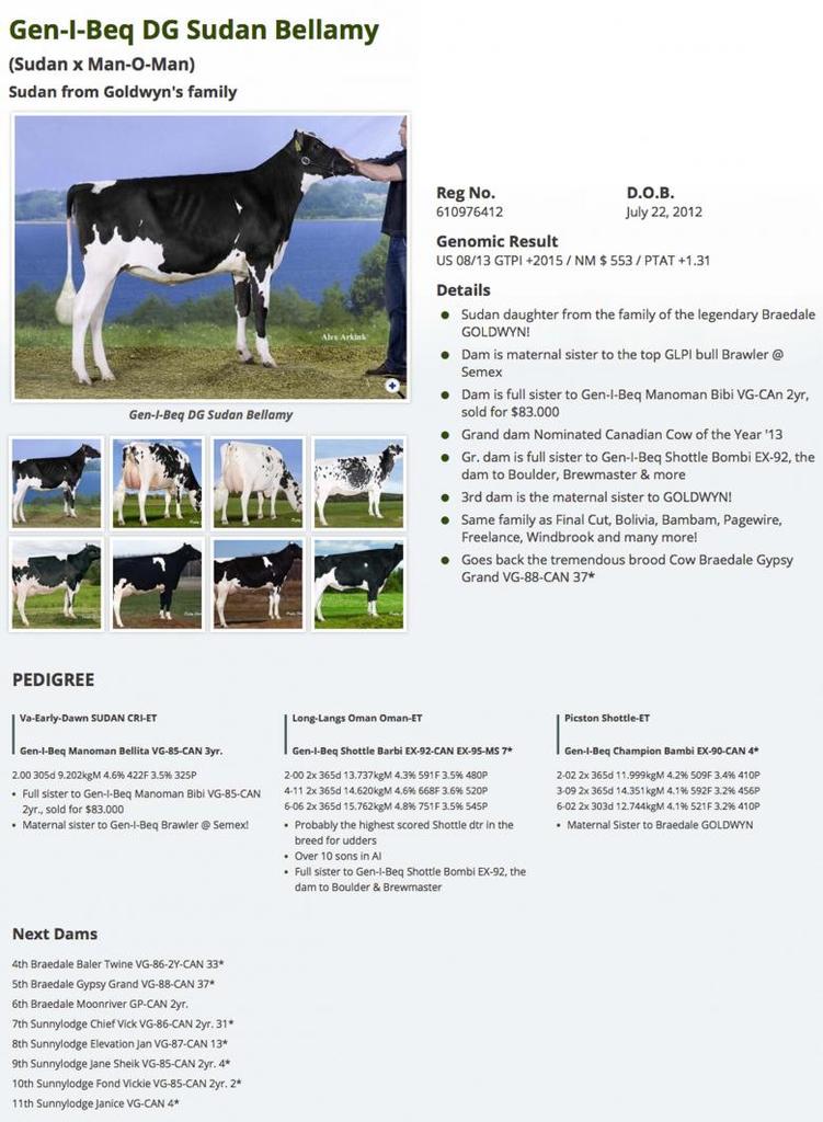 Datasheet for #4 Vekis CHEVROLET x Gen-I-Beq DG Sudan Bellamy