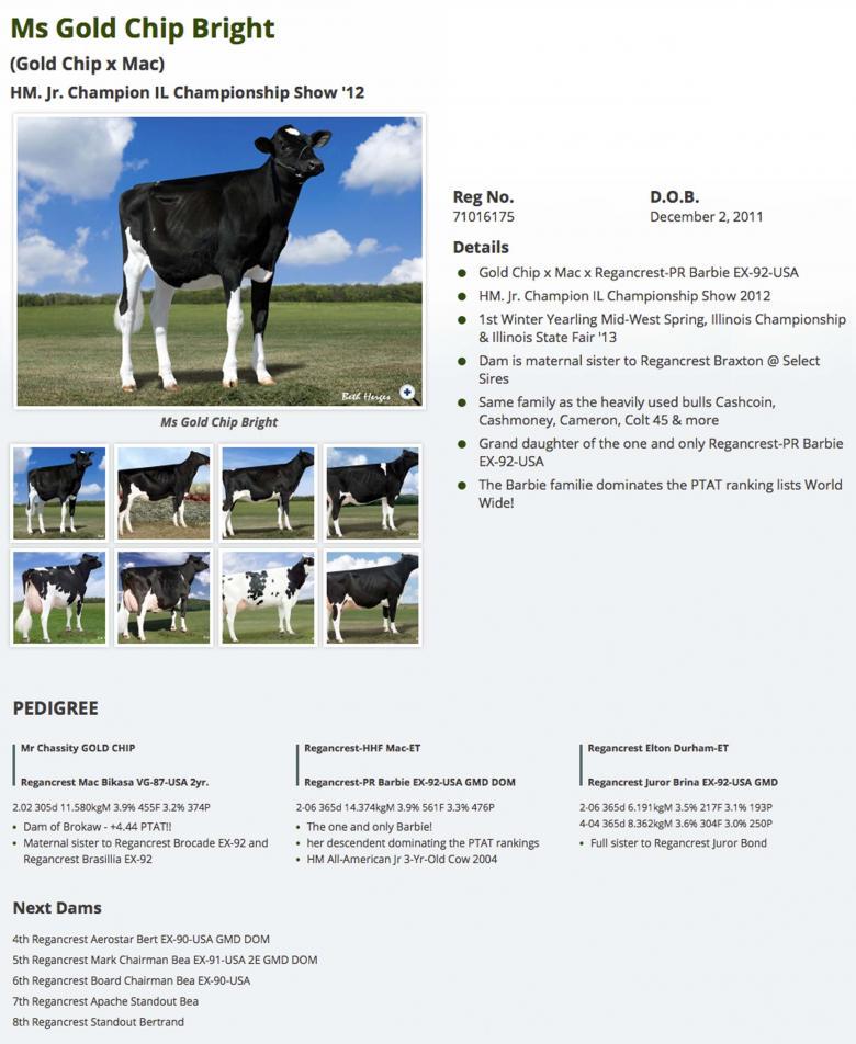 Datasheet for #5 SEXED Maple-Downs I G W ATWOOD x Ms Gold Chip Bright