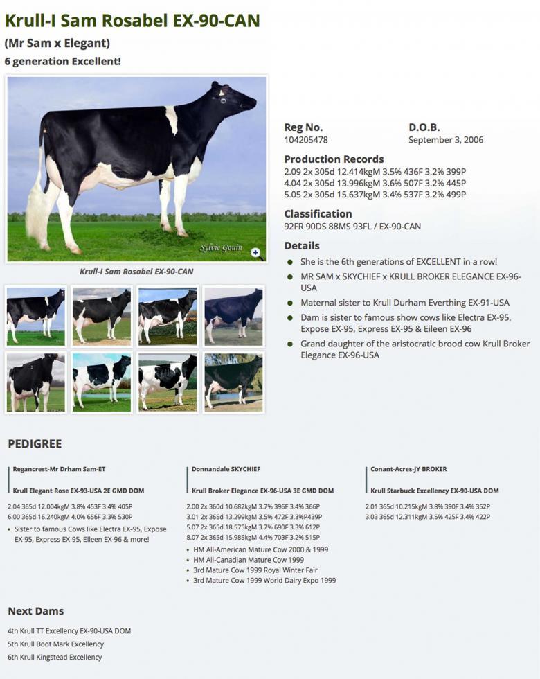 Datasheet for #4 Braedale GOLDWYN x Krull-I Sam Rosabel EX-90-CAN