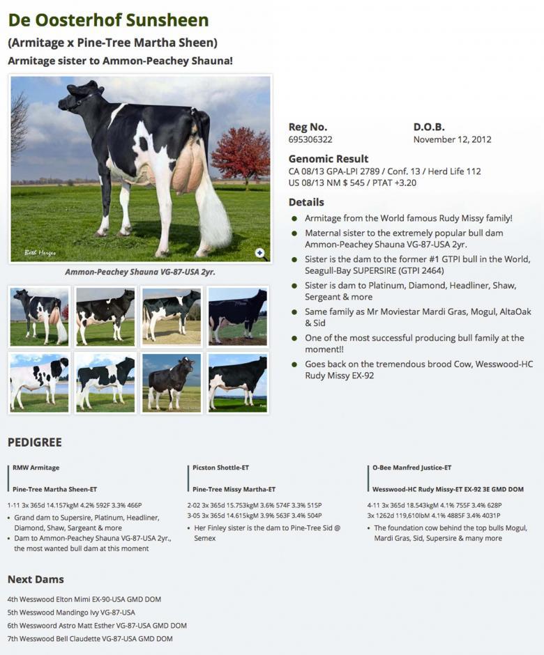 Datasheet for #3 De-Su DISTINCTION 11130 x De Oosterhof Sunsheen