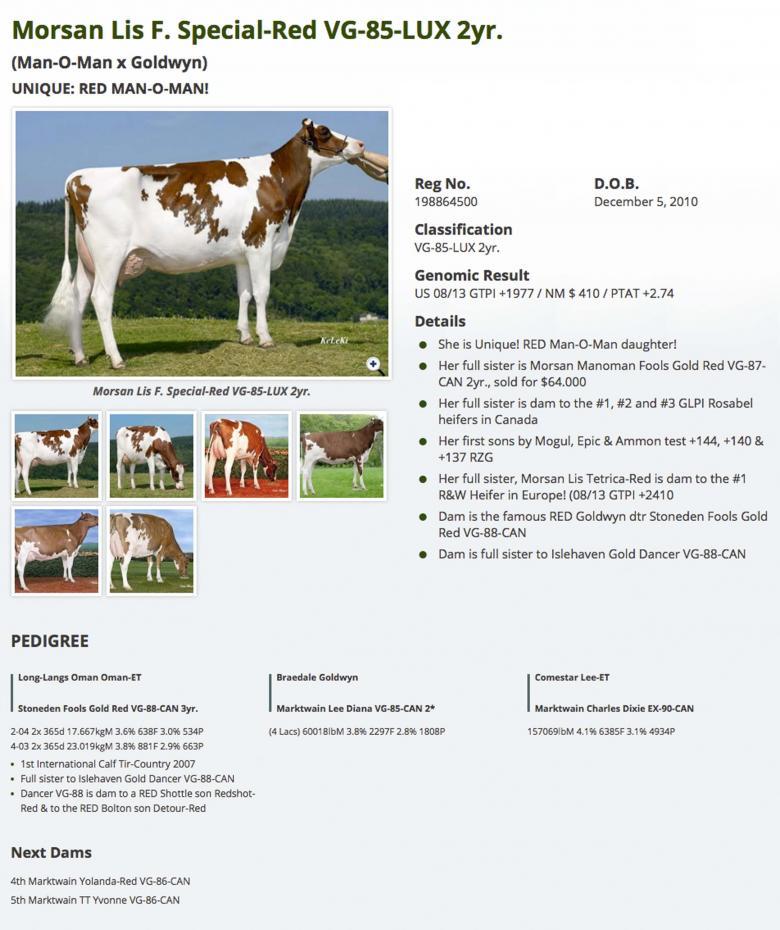 Datasheet for #4 Pine-Tree OHARE P x Morsan Lis F. Special-Red VG-85-LUX 2yr.