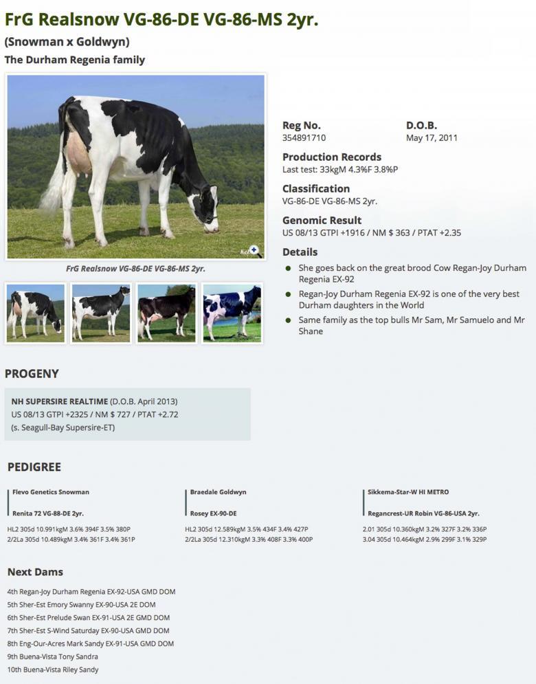 Datasheet for #4 Boldi V S G ANTON x FrG Realsnow VG-86-DE VG-86-MS 2yr.