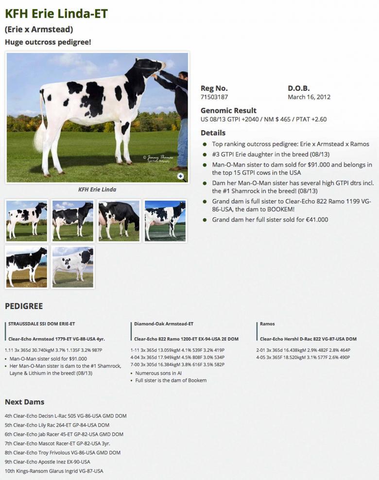 Datasheet for #2 GRADE 2 Coyne-Farms JACEY x KFH Erie Linda