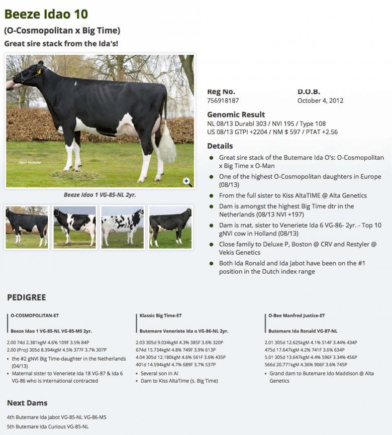 Datasheet for #3 De-Su 11236 BALISTO x Beeze Idao 10