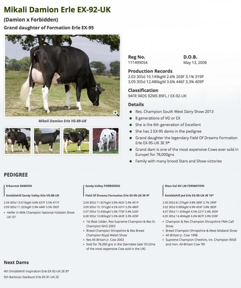 Datasheet for #4 Regancrest BRADNICK x Mikali Damion Erle EX-92-UK