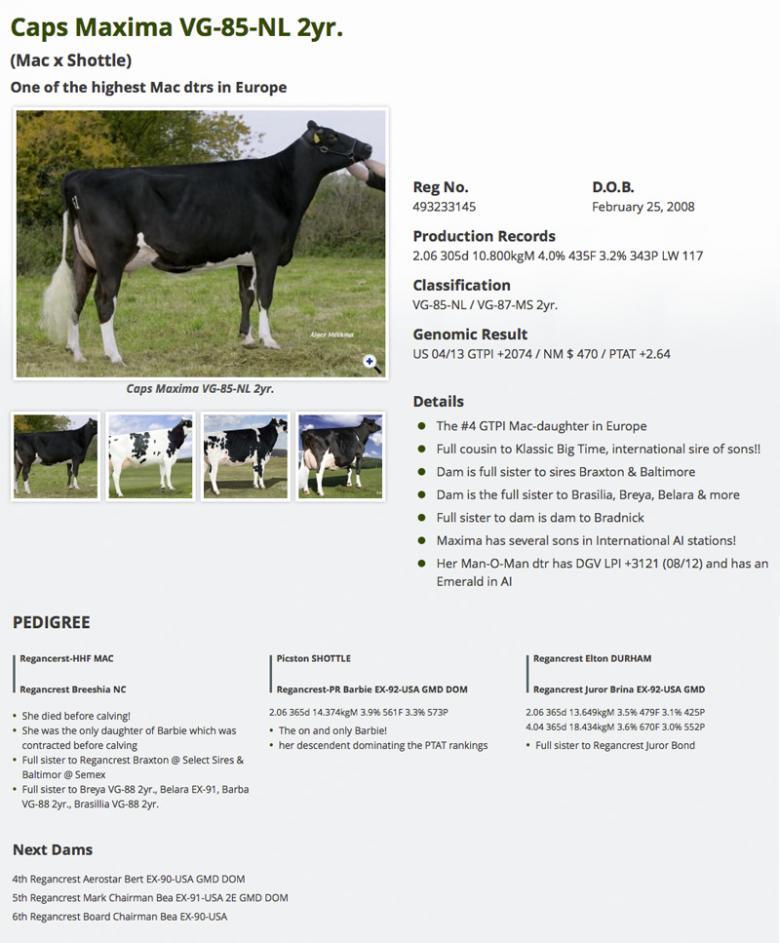 Datasheet for #4 Cookiecutter Petron HALOGEN x Caps Maxima VG-85-NL 2yr.