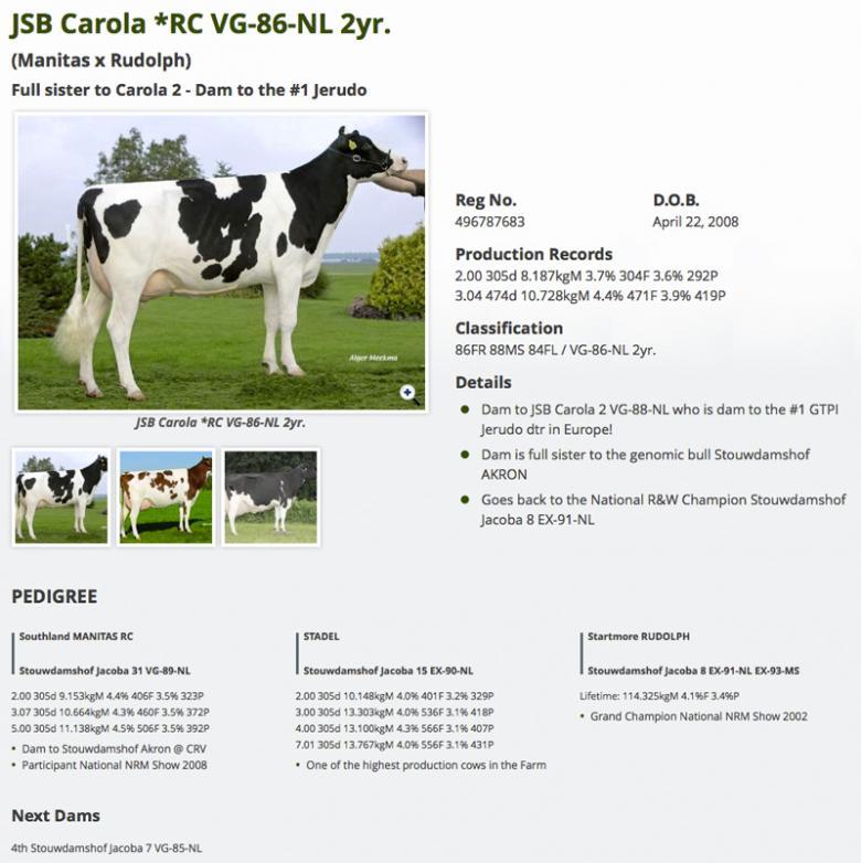 Datasheet for #4 Mr Morningview ALADDIN *RC x JSB Carola *RC VG-86-NL 2yr.