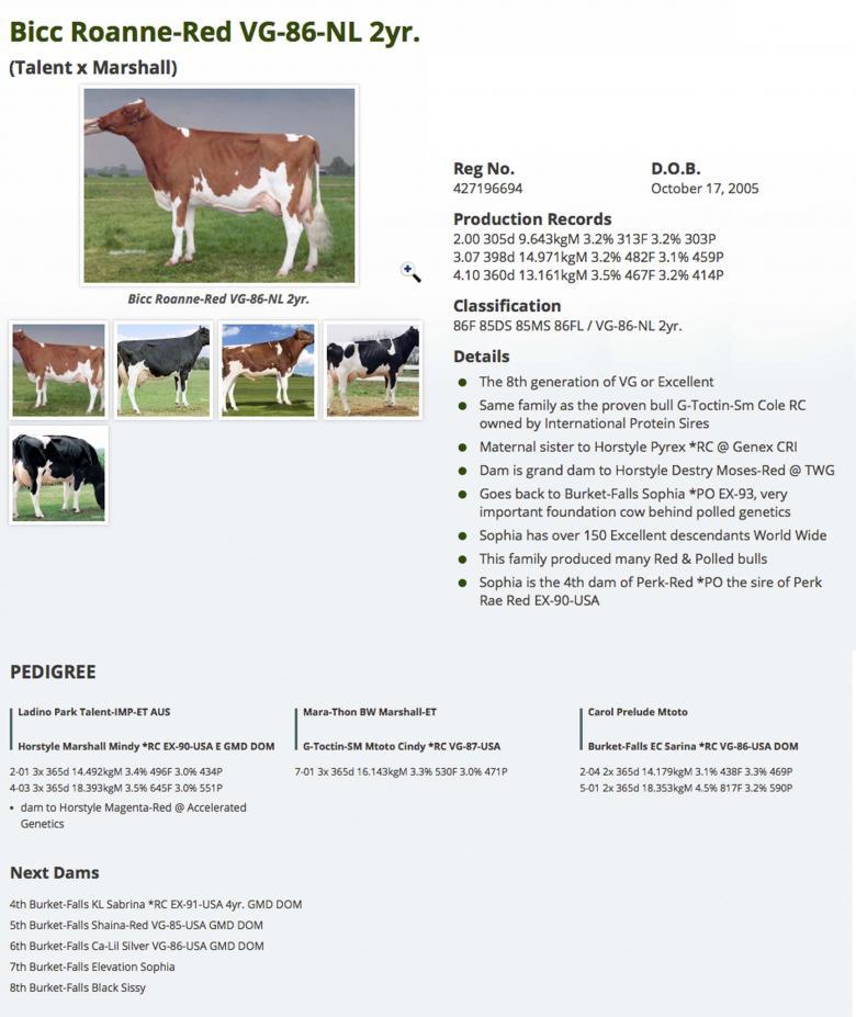 Datasheet for #4 S-S-I Mogul DEFENDER x Bicc Roanne-Red VG-86-NL 2yr.