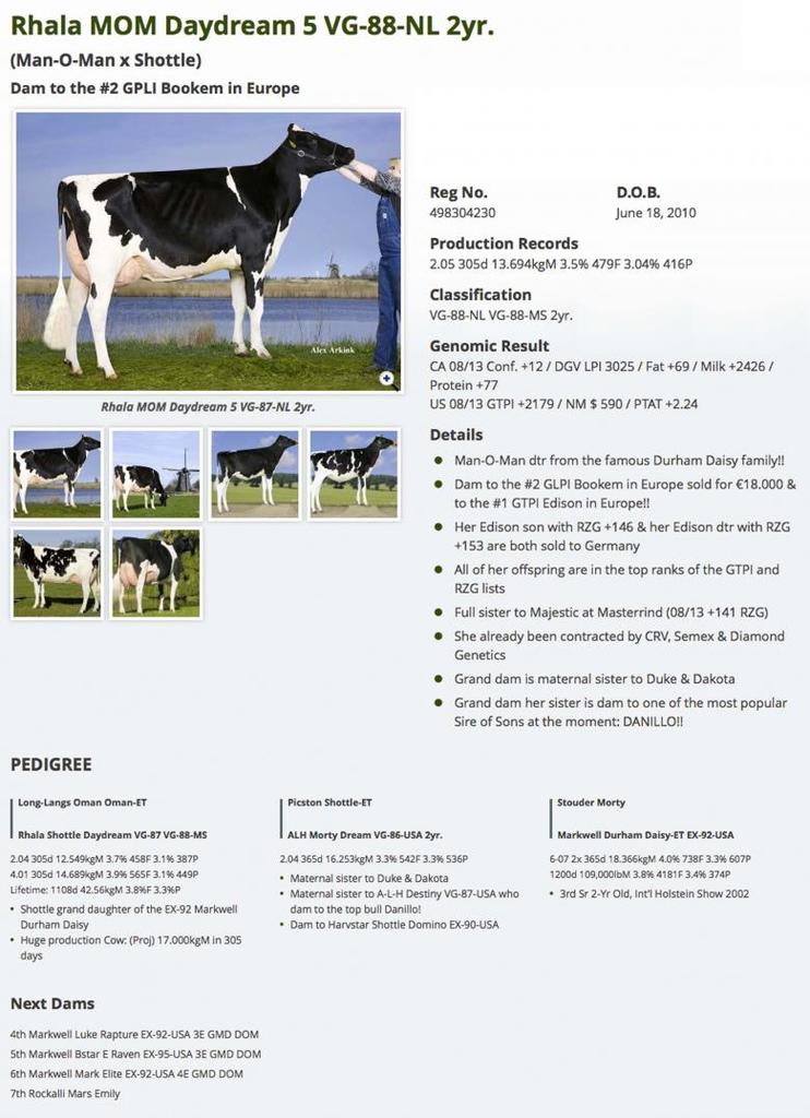 Datasheet for #3 C-Op Bosside MASSEY x Rhala MOM Daydream 5 VG-88-NL 2yr.