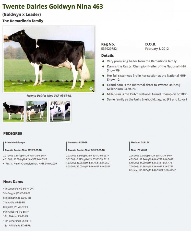 Datasheet for #4 Mr Chassity COLT 45 *RC *PO x Twente Dairies Goldwyn Nina 463