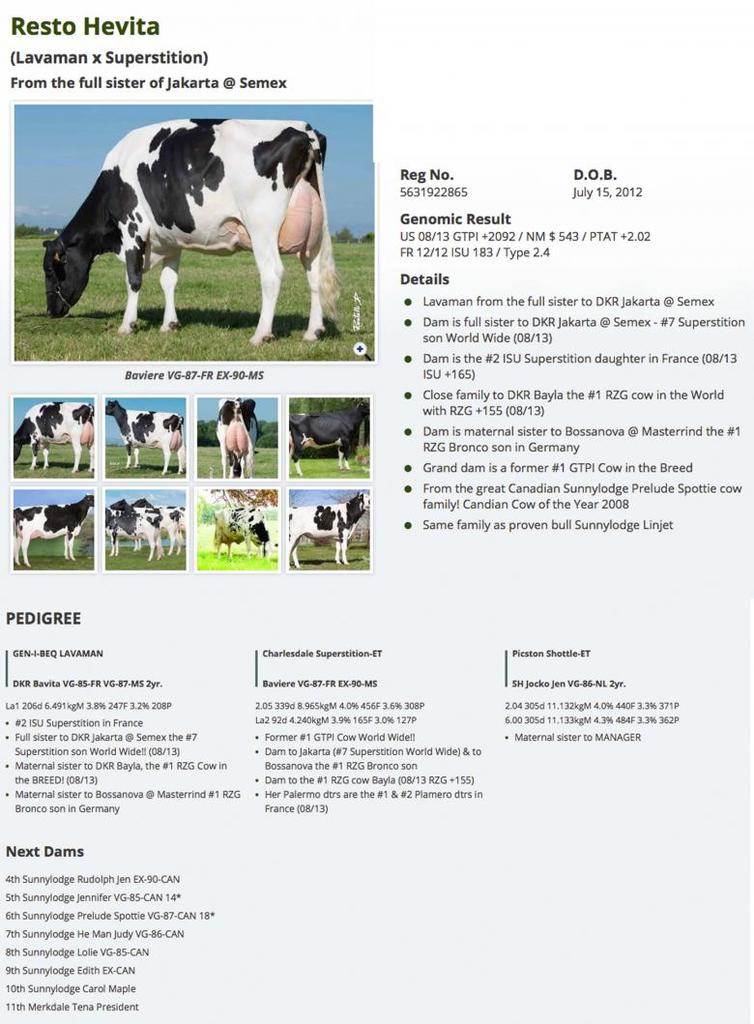 Datasheet for #4 Coyne-Farms Shrock MACK x Resto Hevita