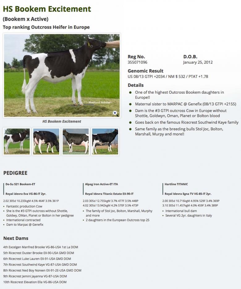 Datasheet for #4 Butz-Butler SHOTGLASS x Hs Bookem Excitement