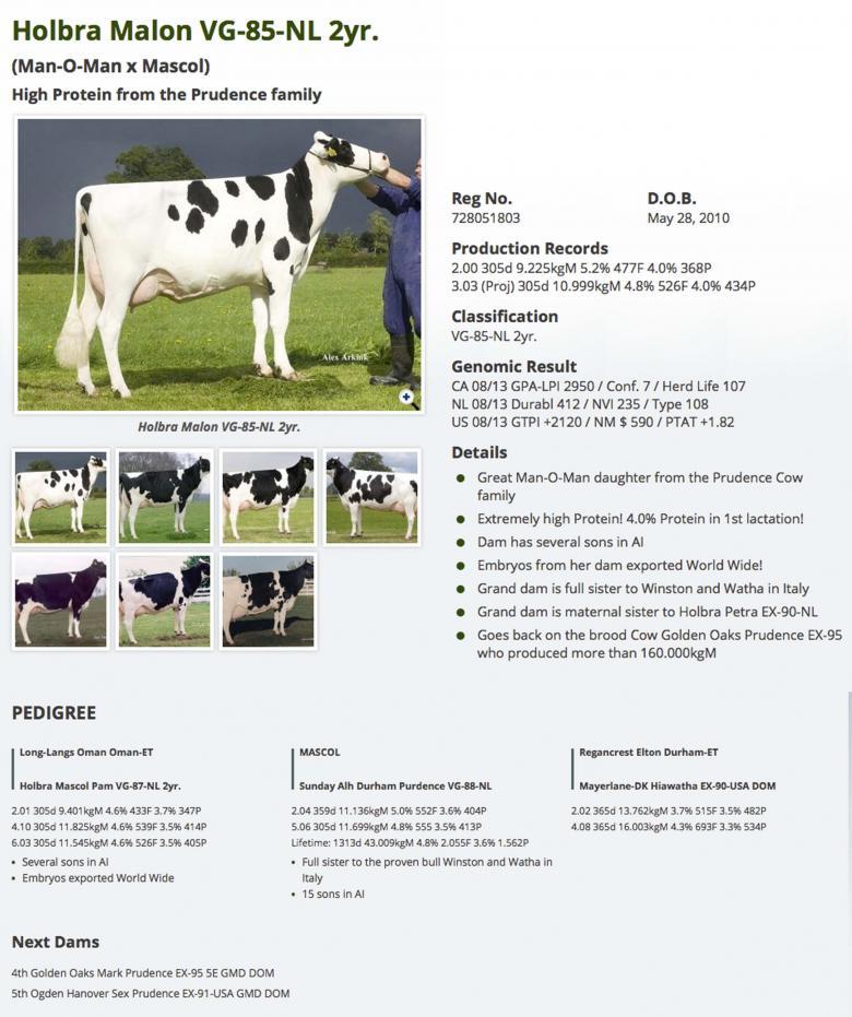 Datasheet for #3 De-Su 11236 BALISTO x Holbra Malon VG-85-NL 2yr.