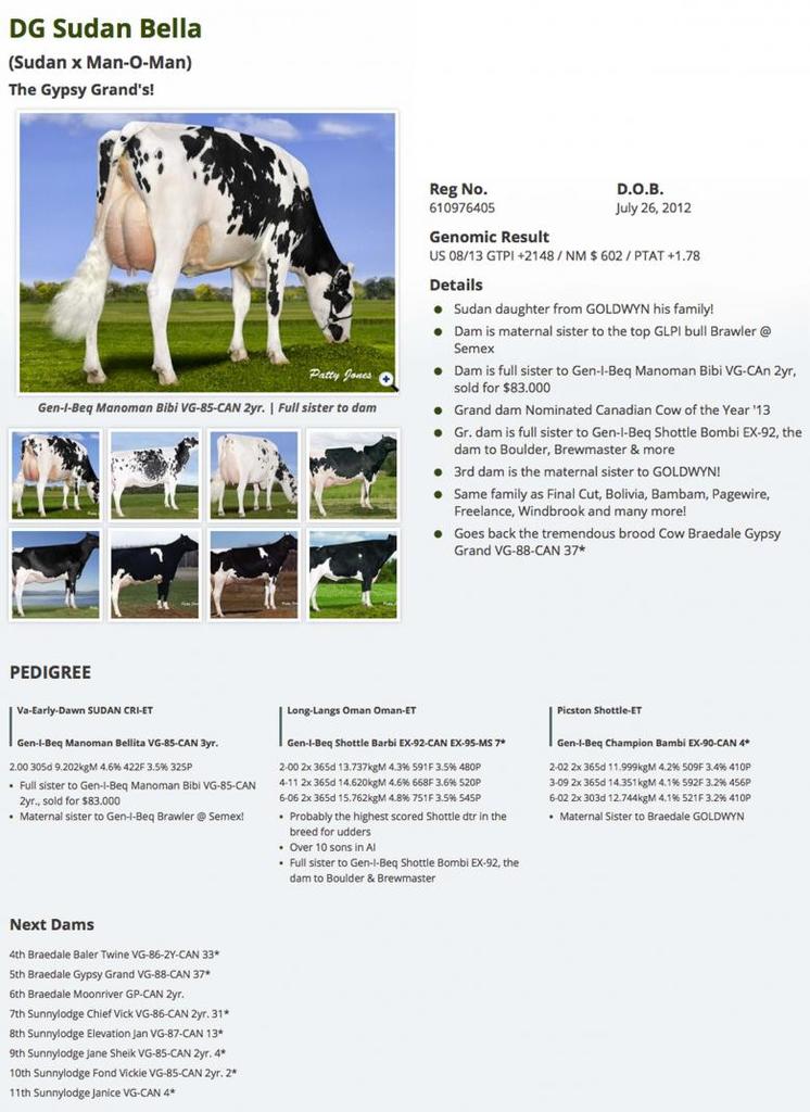 Datasheet for #3 Coyne-Farms Shrock MACK x DG Sudan Bella