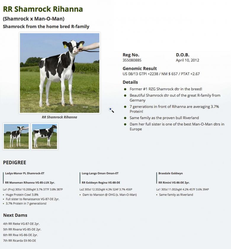 Datasheet for #4 Gen-I-Beq AIKMAN *RC x RR Shamrock Rihanna