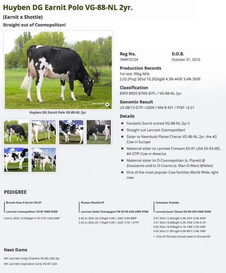 Datasheet for #2 SEXED MOGUL x Huyben DG Earnit Polo VG-88-NL 2yr.