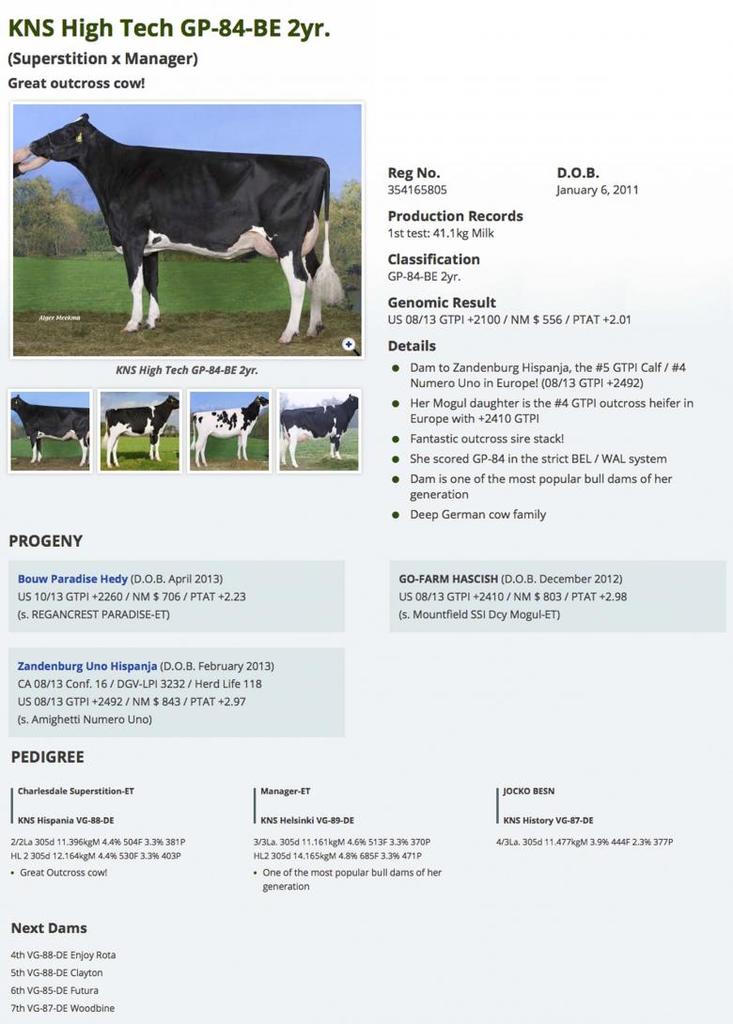 Datasheet for #3 Mr Moviestar MARDI GRAS x KNS High Tech GP-84-BE 2yr.