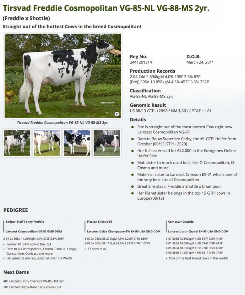 Datasheet for #4 Bouw ROCKY x Tirsvad Freddie Cosmopolitan VG-85-NL VG-88-MS 2yr.