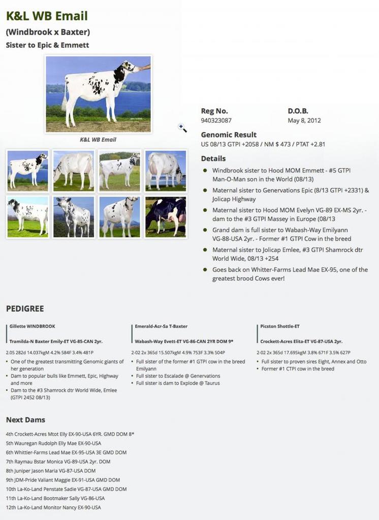 Datasheet for #4 SEXED Maple-Downs-I G W ATWOOD x KL WB Email