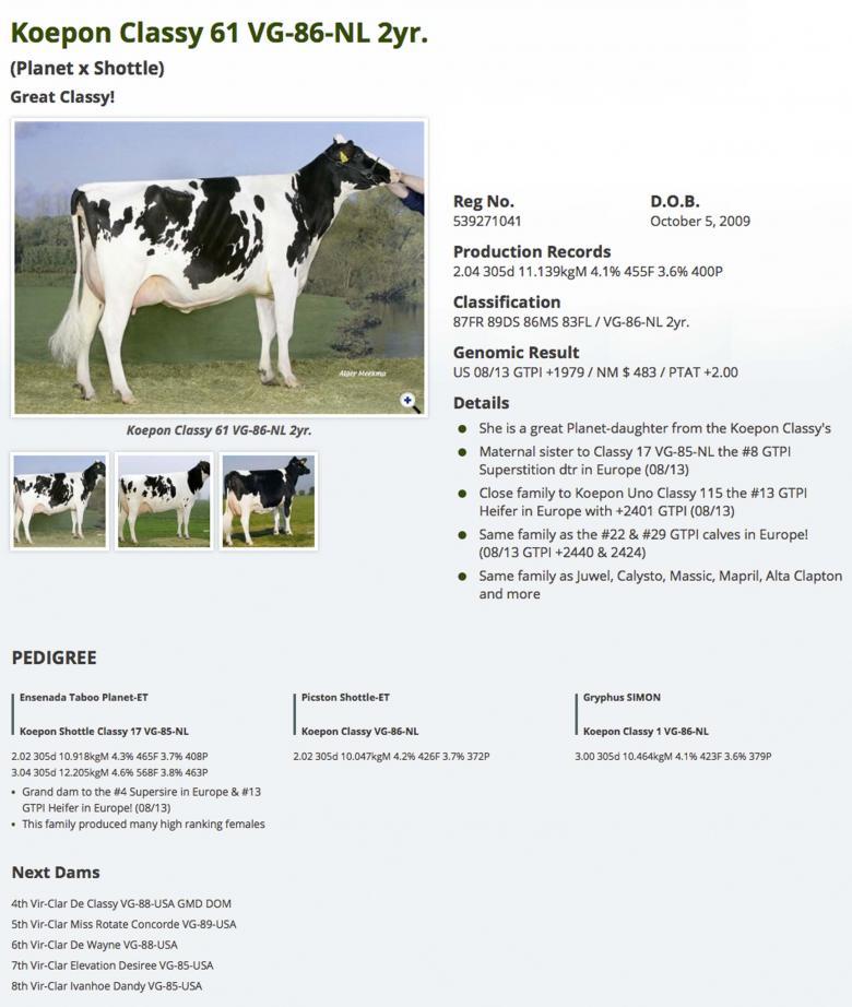 Datasheet for #3 Pine-Tree OVERTIME P x Koepon Plan Classy 61 VG-86-NL 2yr.