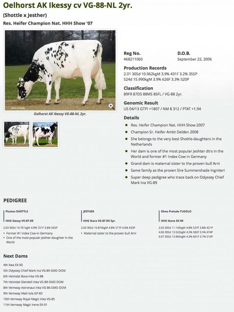 Datasheet for #4 IVF Coyne-Farms JACEY x Oelhorst AK Ikessy VG-88-NL 2yr.