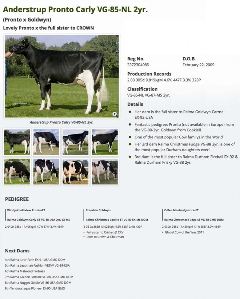 Datasheet for #4 SEXED Comestar LAUSMART x Anderstrup Pronto Carly VG-85-NL 2yr.