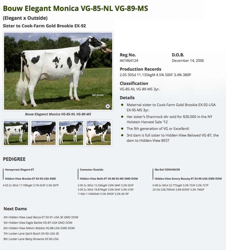 Datasheet for #4 Regancrest AltaIOTA x Bouw Elegant Monica VG-85-NL VG-89-MS