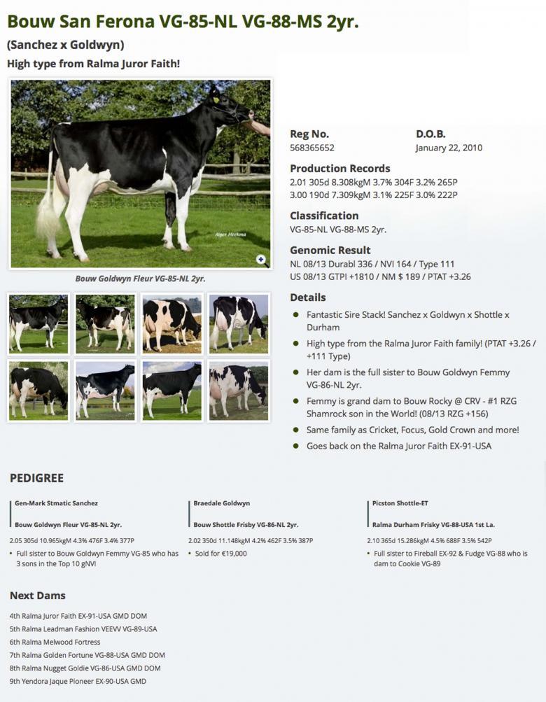 Datasheet for #4 Ladys-Manor SHAMROCK x Bouw San Ferona VG-85-NL VG-88-MS 2yr.