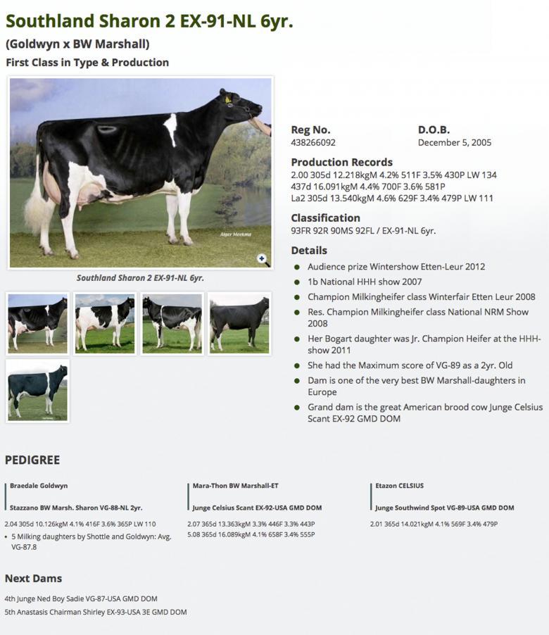 Datasheet for #3 Sully-Hart MERIDIAN x Southland Goldwyn Sharon 2 EX-91-NL